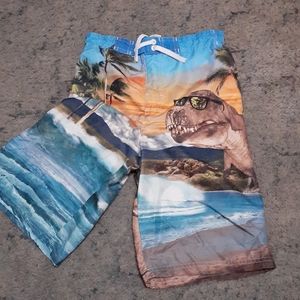 boys dinosaur swim trunks
